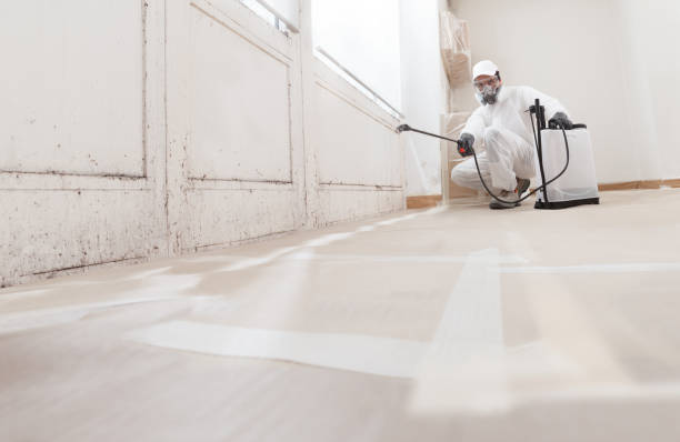24/7 Emergency Bathroom Mold Removal experts in Hopewell, PA