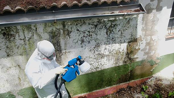 Top rated local Bathroom Mold Removal specialists in Hopewell, PA